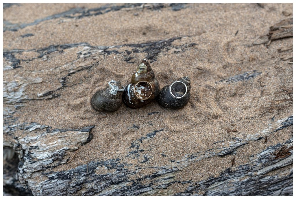 wedding rings sitting on shells at beach in Virginia